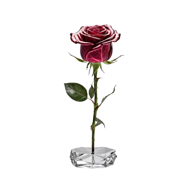 Elegant Crystal Rose
