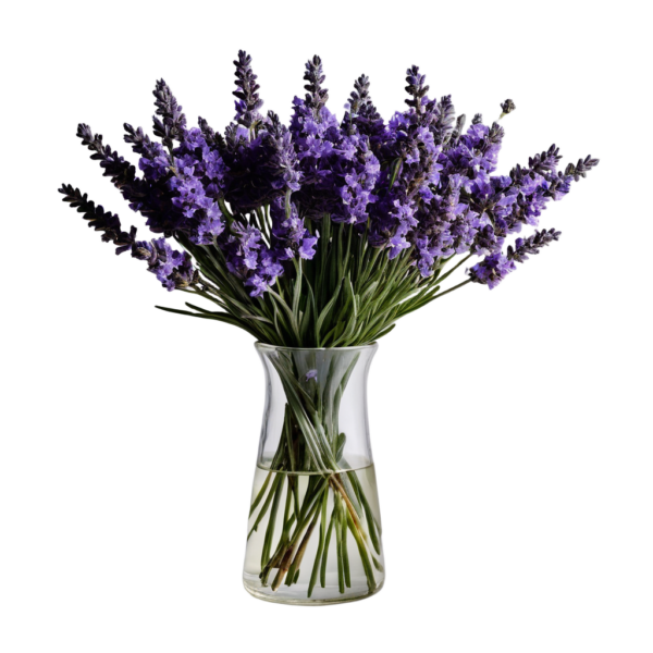 Lavender Bouquet