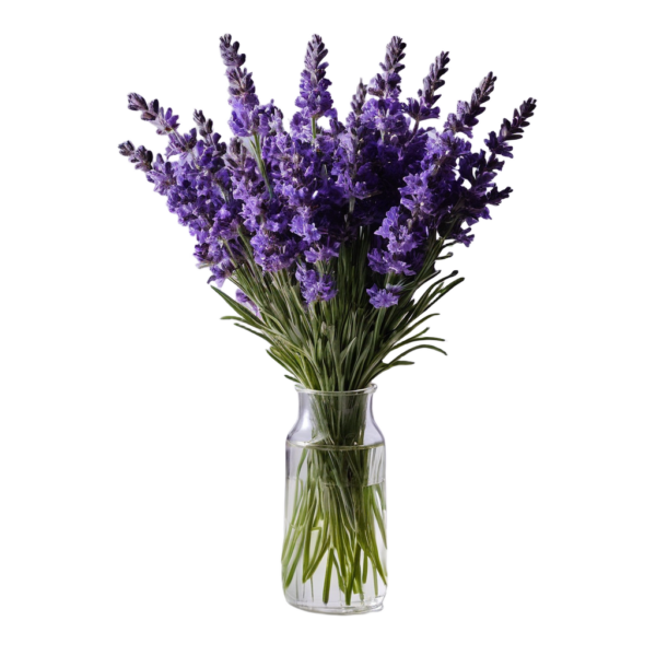 Lavender Bouquet