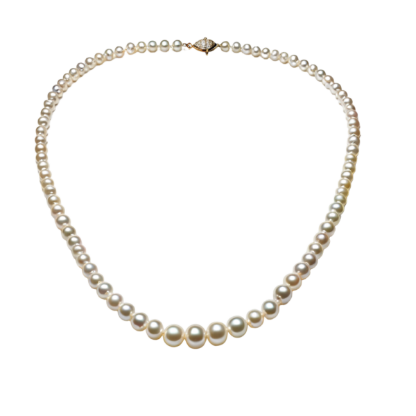 Luxury Pearl Necklace