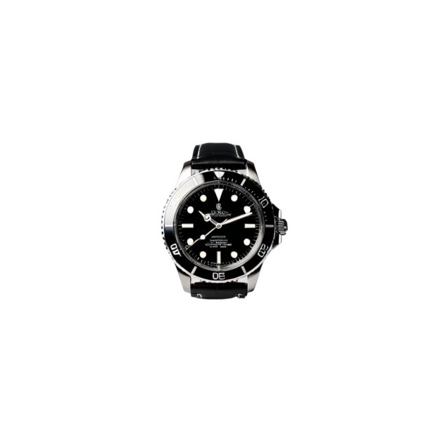 Luxury Watch