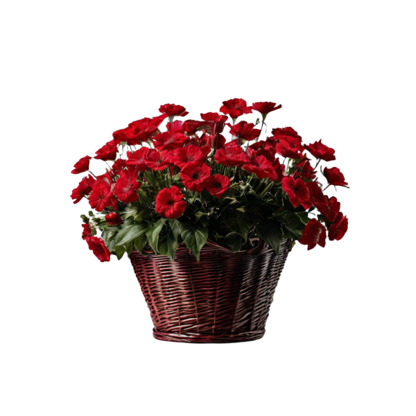 Red Flower Basket
